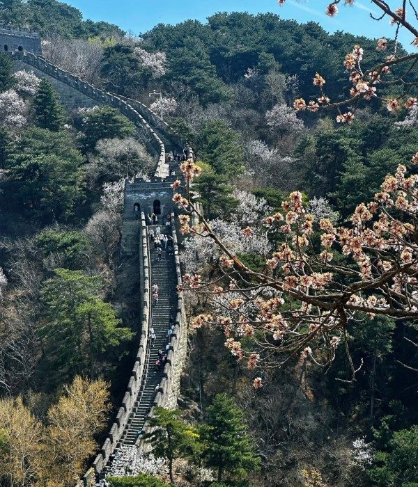 Great Wall2