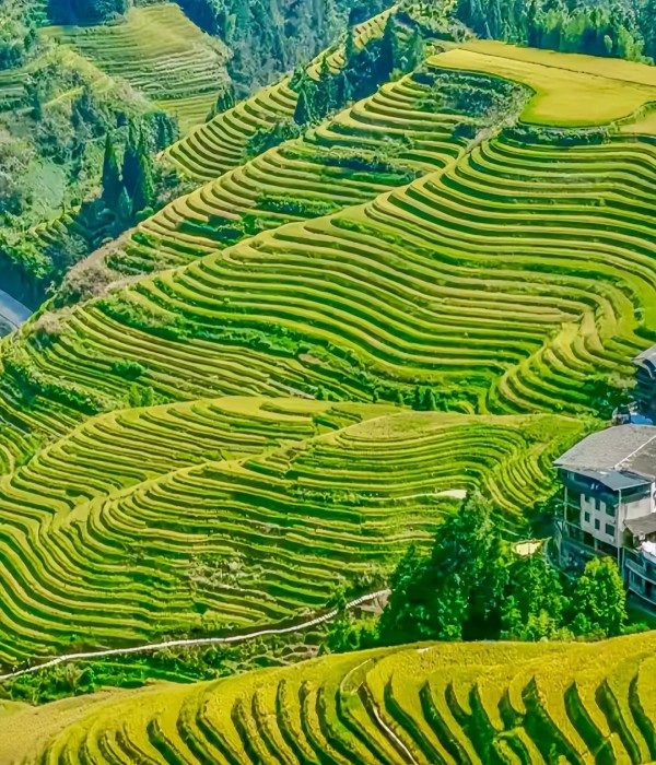 Longji Terraces1