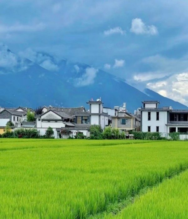 Xizhou Bai's Houses (1)