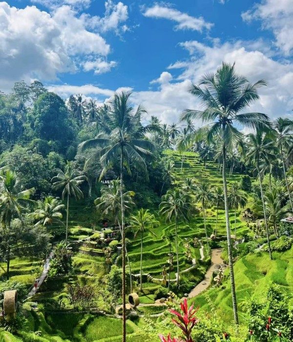 bali (6)